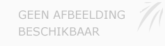 Afbeelding › M3 Taxi