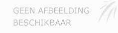 Afbeelding › Economtaxi